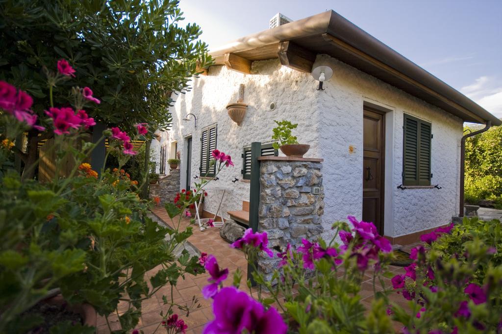 Case Vacanza La Ventura Massarosa Exterior foto